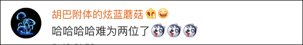 爆笑！遇上日本“靈魂翻譯”，身經(jīng)百戰(zhàn)的國(guó)乒高手都懵了